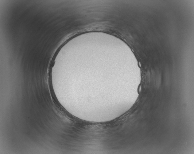 X0000075360100200610061757