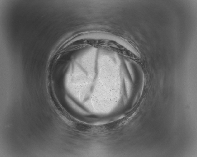 X0000075360101200610061757