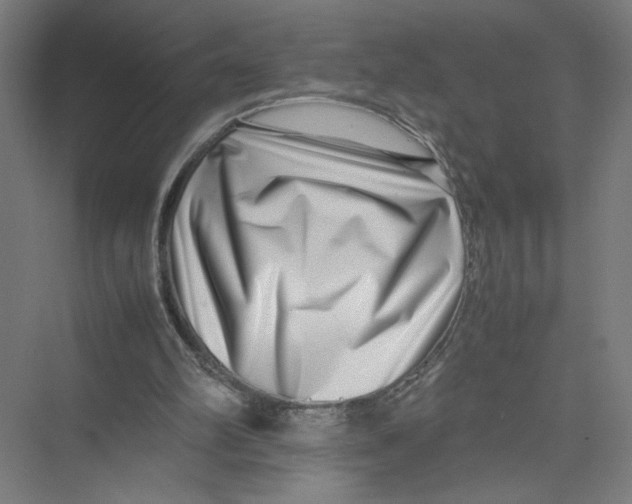 X0000075360102200610061757