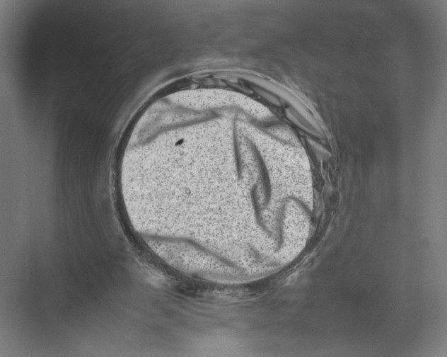 X0000075360103200610061757