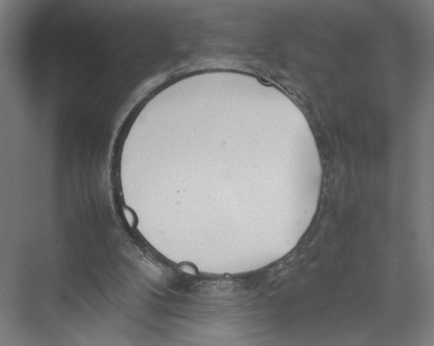 X0000075360104200610061757