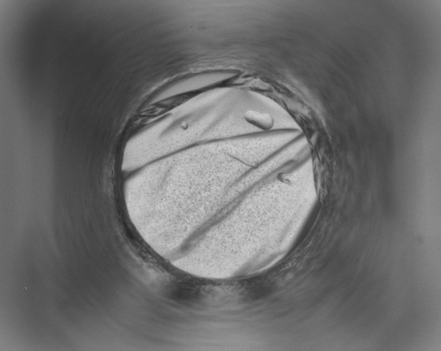 X0000075360107200610061757