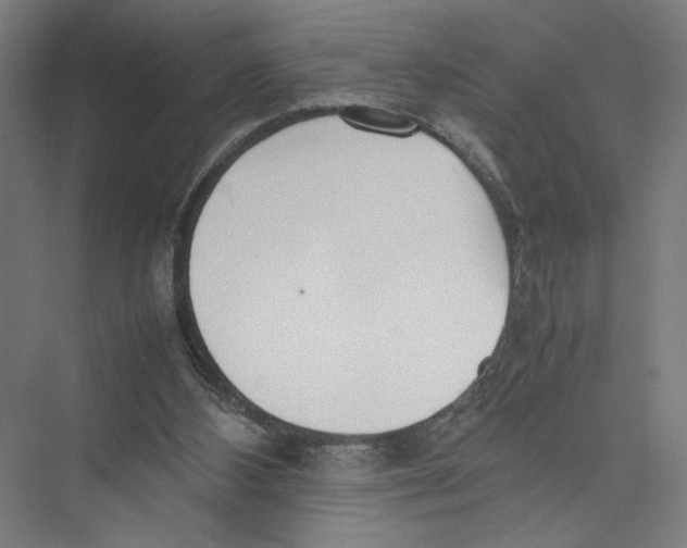 X0000075360108200610061757