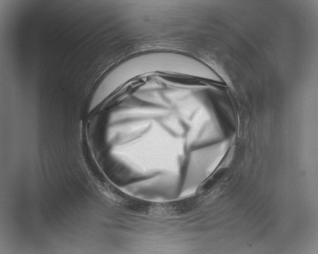 X0000075360109200610061757