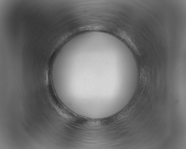 X0000075360110200610061757