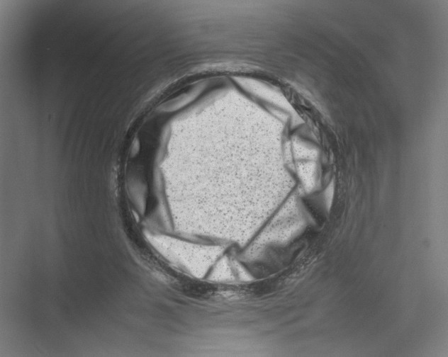 X0000075360111200610061757