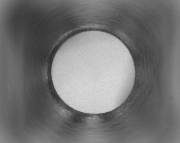 X0000075360112200610061757