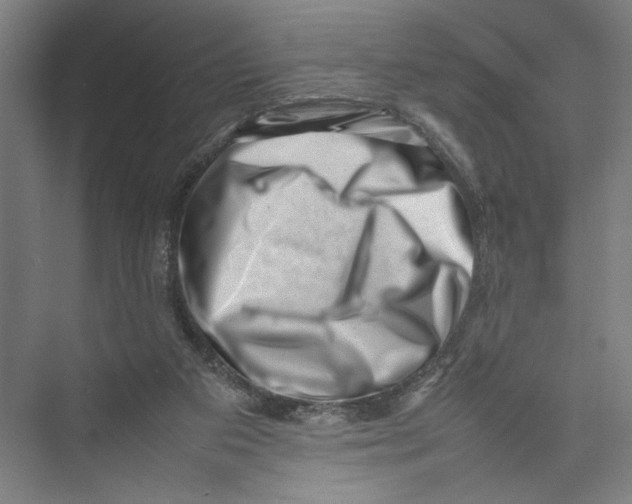 X0000075360113200610061757