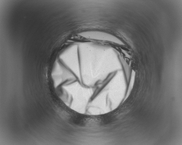 X0000075360115200610061757