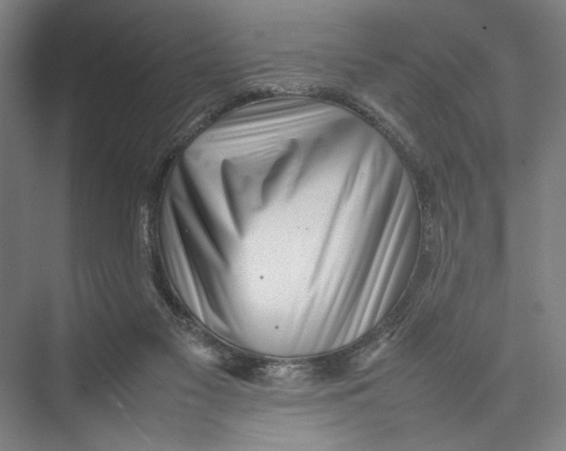 X0000075360117200610061757