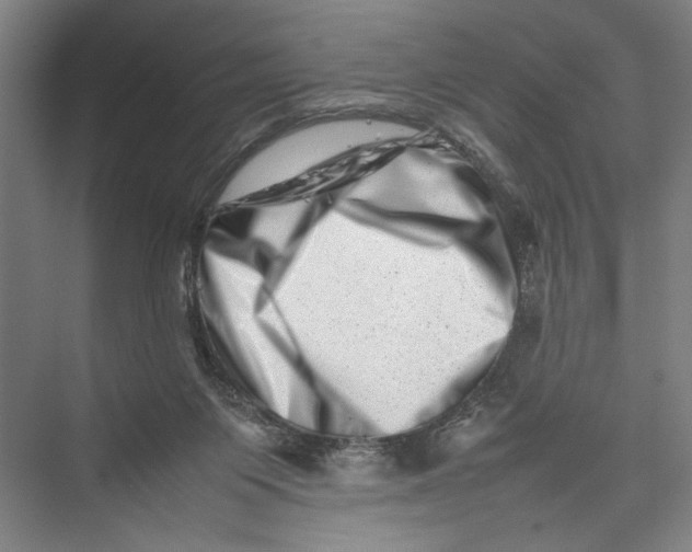 X0000075360119200610061757