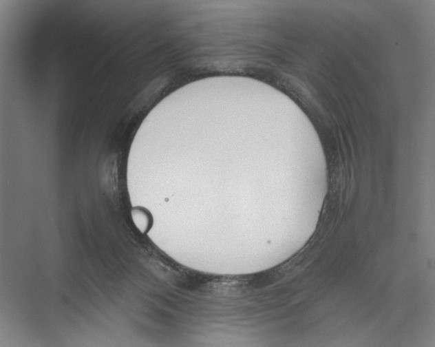 X0000075360120200610061757