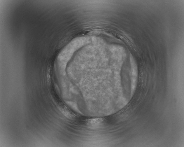 X0000075360122200610061757