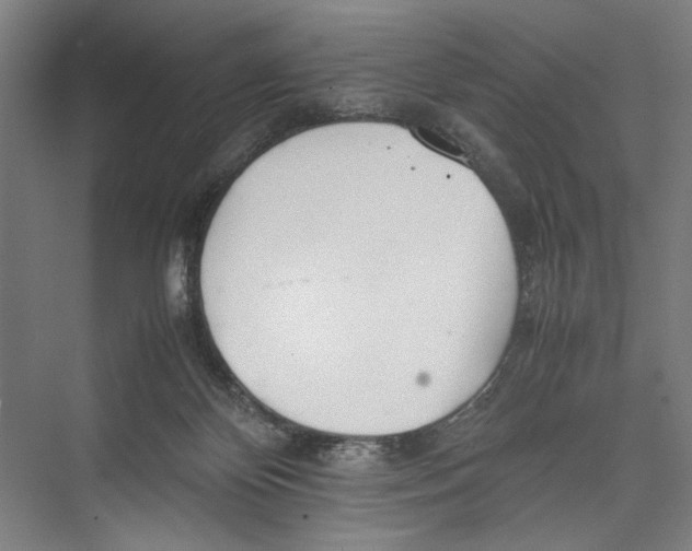 X0000075360124200610061757