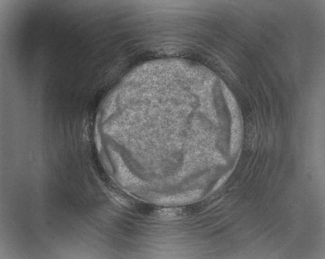 X0000075360126200610061757