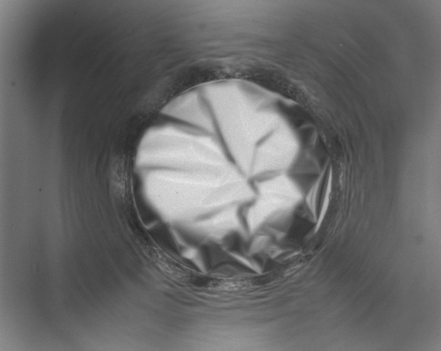 X0000075360129200610061757