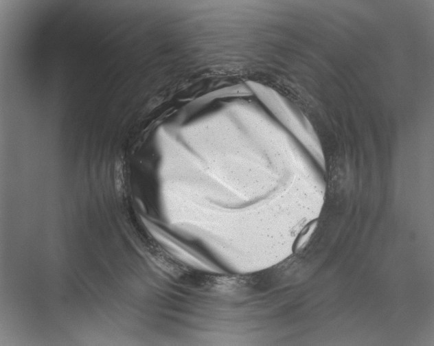 X0000075360130200610061757