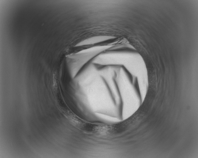 X0000075360131200610061756