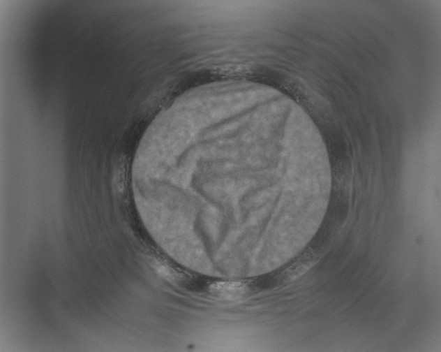 X0000075360133200610061756