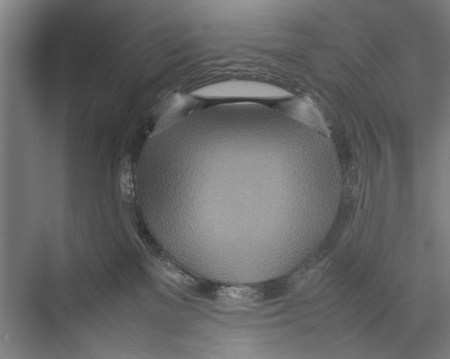 X0000075360137200610061756