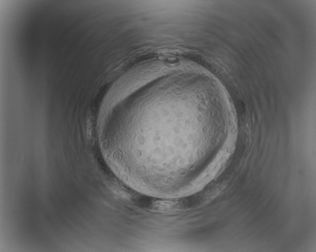 X0000075360139200610061756