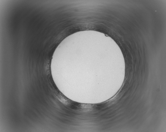 X0000075360144200610061756