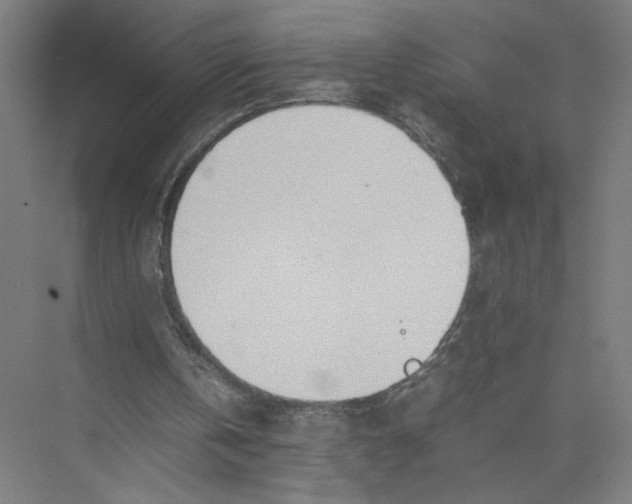 X0000075360146200610061755