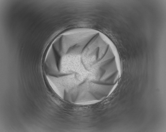 X0000075360147200610061755