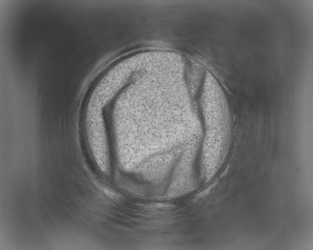 X0000075360151200610061756