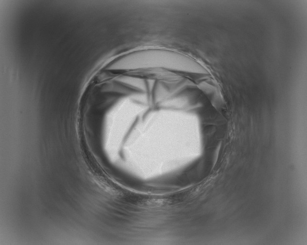 X0000075360152200610061756