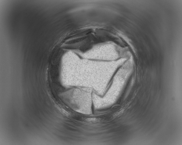 X0000075360153200610061756