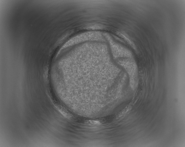 X0000075360159200610061756