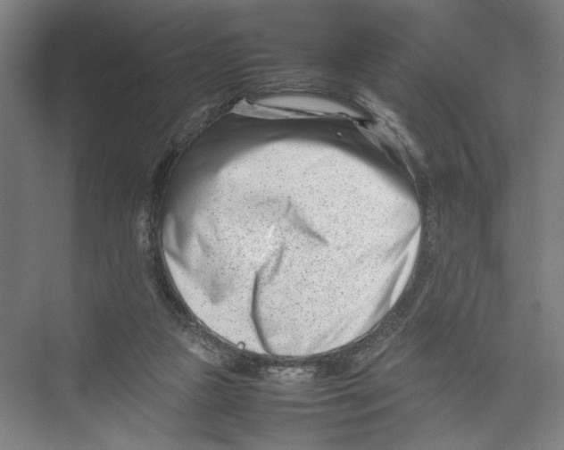 X0000075360161200610061756