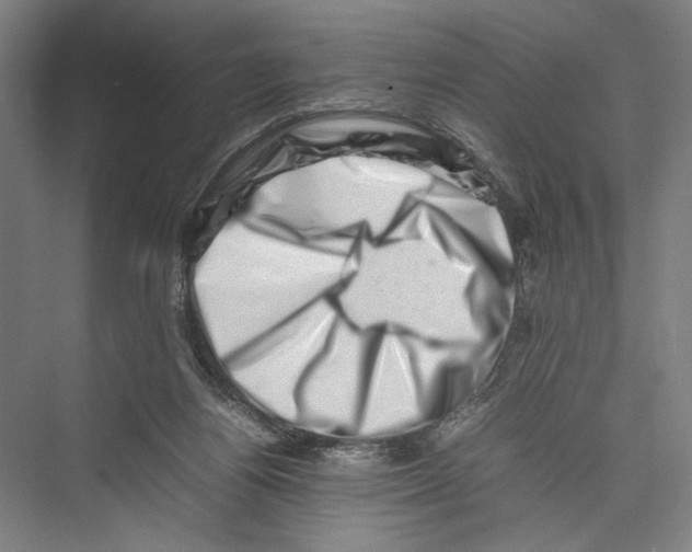 X0000075360164200610061756