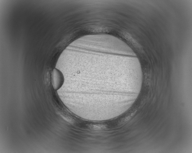 X0000075360165200610061756