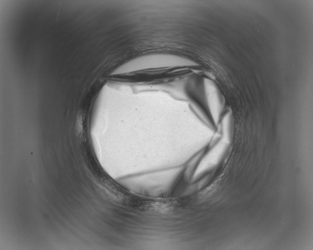 X0000075360166200610061756