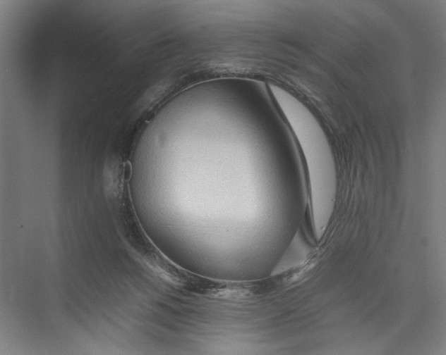 X0000075360168200610061756