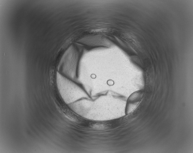 X0000075360171200610061756