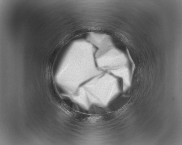 X0000075360172200610061756