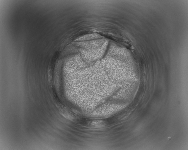 X0000075360173200610061756