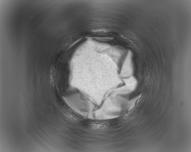 X0000075360175200610061756