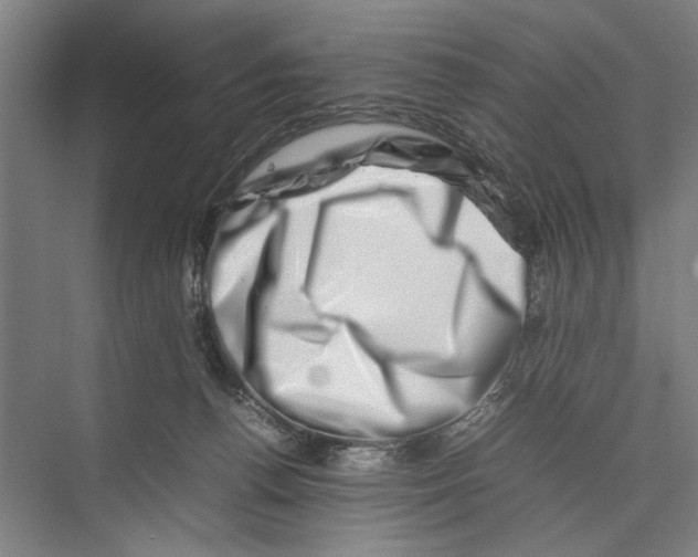 X0000075360176200610061756