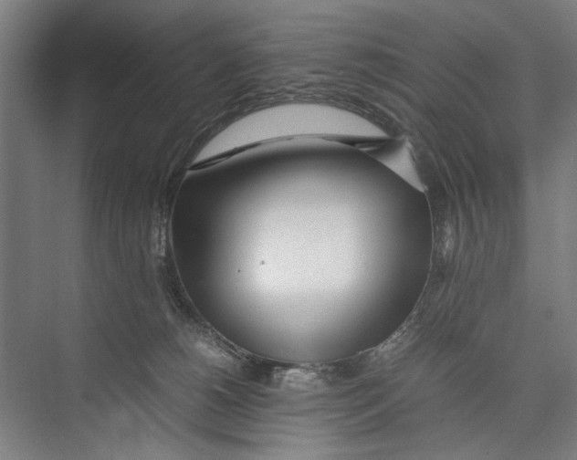 X0000075360180200610061756