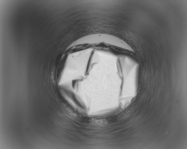 X0000075360185200610061756