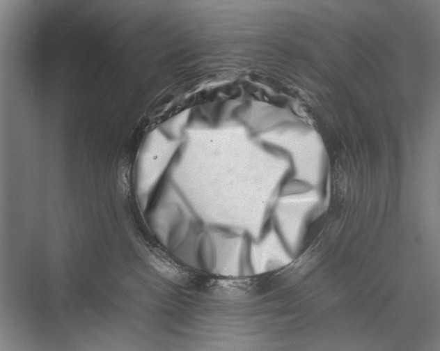 X0000075360188200610061756