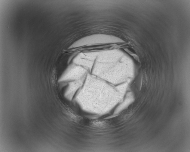 X0000075360189200610061756