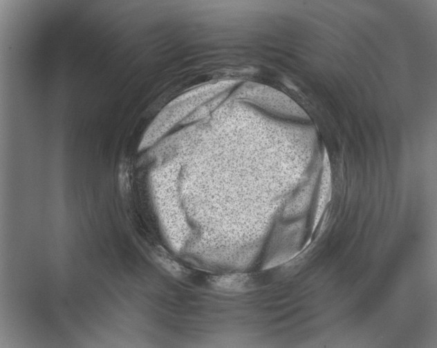 X0000075360191200610061756