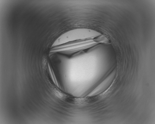 X0000075360192200610061756