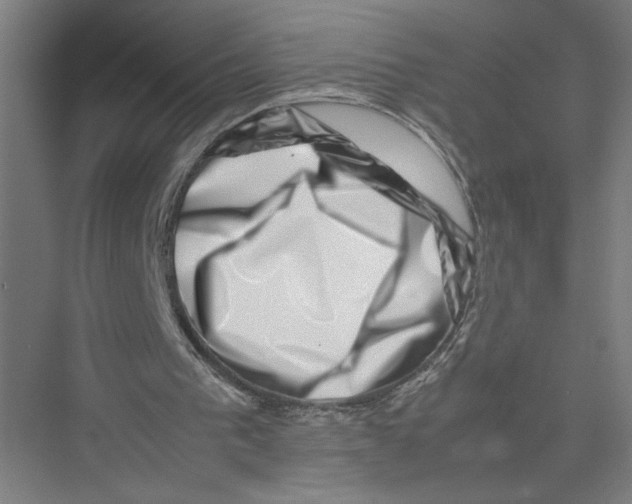 X0000075360193200610061755