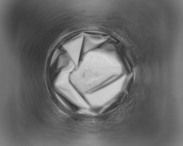 X0000075360195200610061755